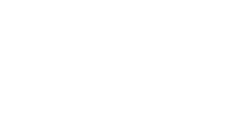 Özil Frozen Foods